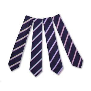 Lancing Prep Worthing Tie Britons